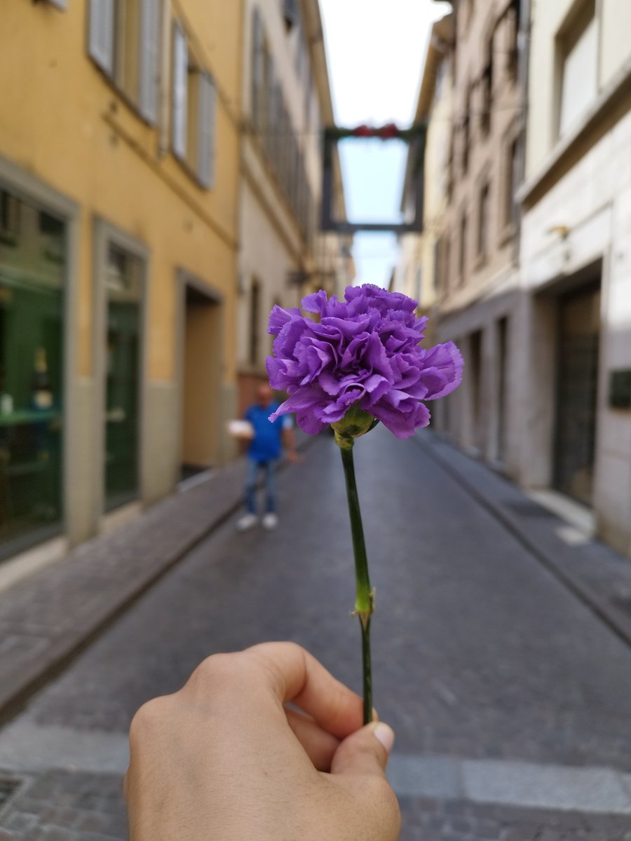ComDivina's tweet image. Una collina parmense
D'estate 
Al tramonto 
Lo sposo è un caro amico
E la sposa, appena conosciuta...

"Grazie di esserci stata. Prima di andare, ecco... ti regalo un fiore del mio bouquet: perché sì, il matrimonio è bello, ma io ti auguro l'amore per te stessa"

❤️