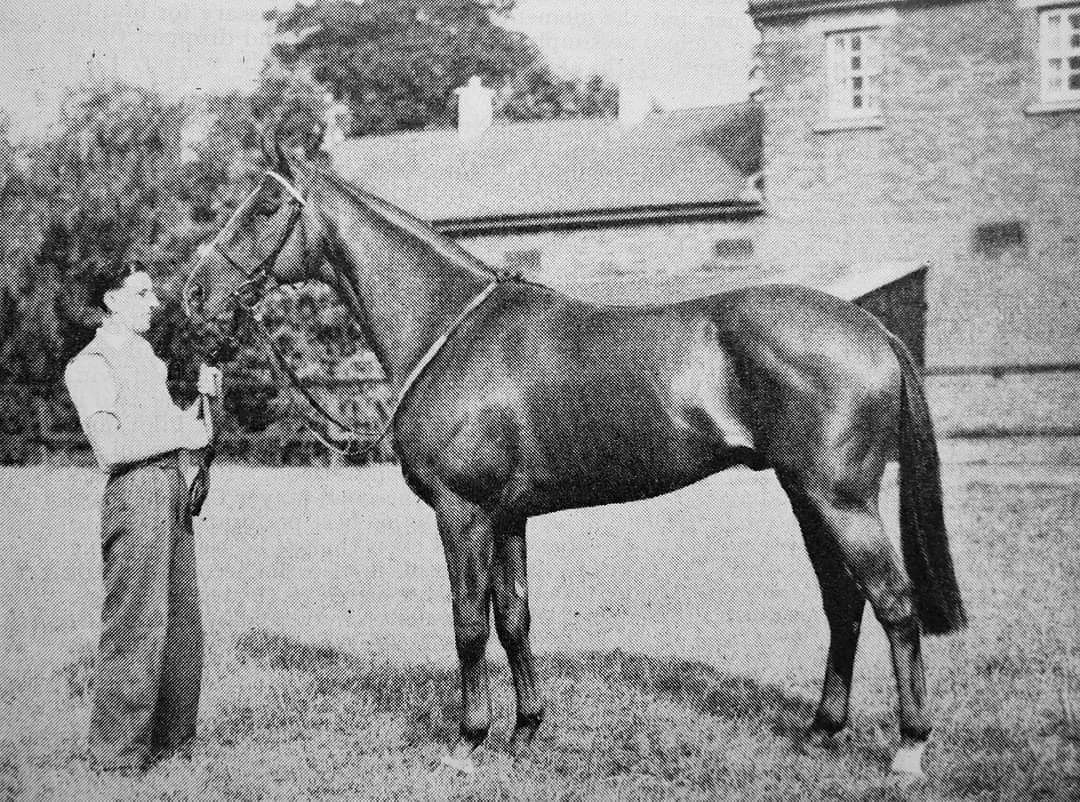 HORSERACING1002's tweet photo. RED GOD ch 1954 by (NASRULLAH - SPRING RUN BY MENOW)#RedGod https://t.co/R8WlBd76IM