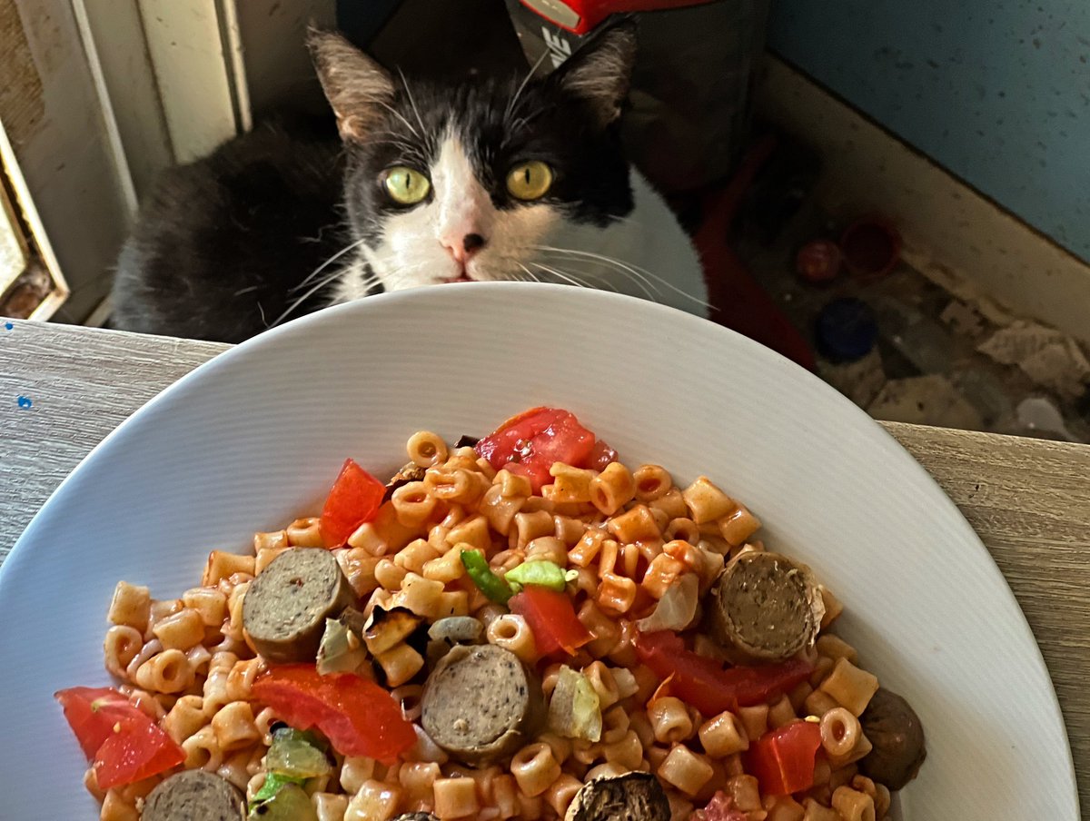 Robotvirgin's tweet photo. Pasta with Italian Vegan Sausage!!
.
.
.
.
.
#pasta #pastalover #vegan #veganfood #veganism #vegansausage #veganmeat #cats #catpower #catlove #kitty #kittycatlove #rescuecats #animallovers #beautifulcat #beautifulanimals #cutecats #funnycat #felines #catlover #catsofvegans https://t.co/jdtobUuoKX