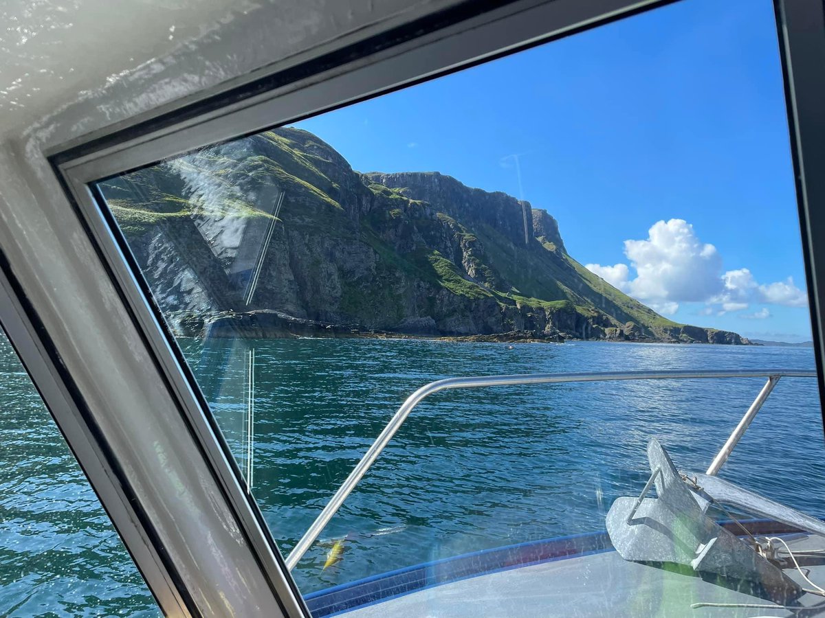 Martin Keivers tweet media