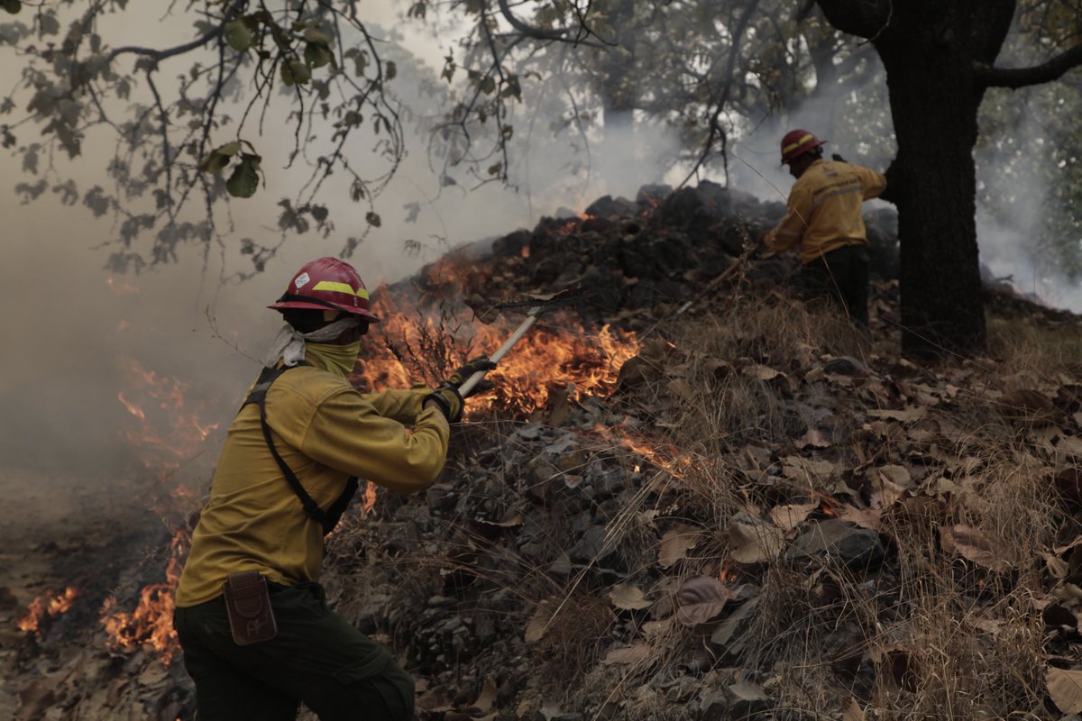 Israel García Ochoa tweet media