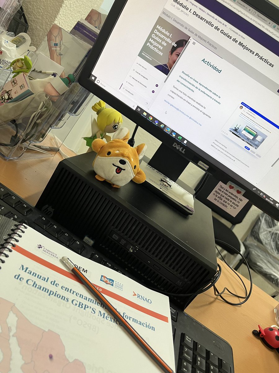 bpsochristusmx's tweet image. ¡Ahora sigue Puebla! 🇲🇽

Arrancó el curso en línea y ya casi estamos con ustedes de manera presencial, nos encanta ver como cada una y uno de nuestros Champions aprenden tan rápido 🧡

#BPSO #BPSOMÉXICO @RNAO @DorisGrinspun