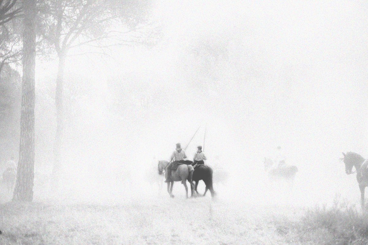 Calvillo tweet media