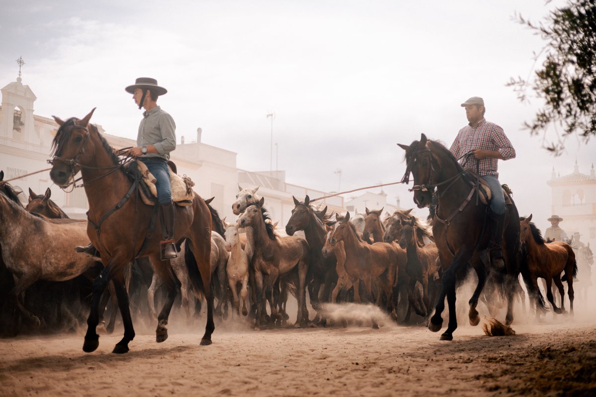 Calvillo tweet media