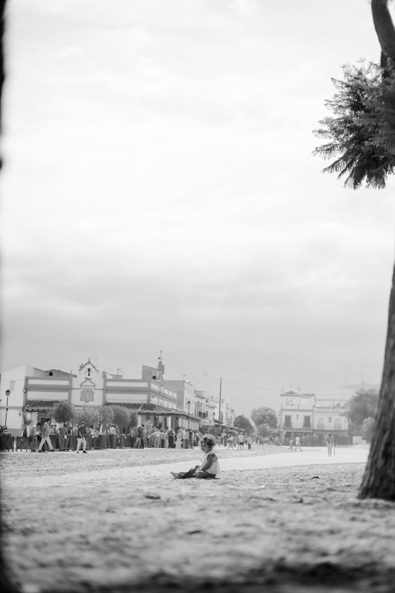 Calvillo tweet media