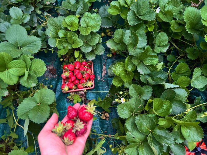 Watch Ruby's leaked NSFW photo on TwXstars