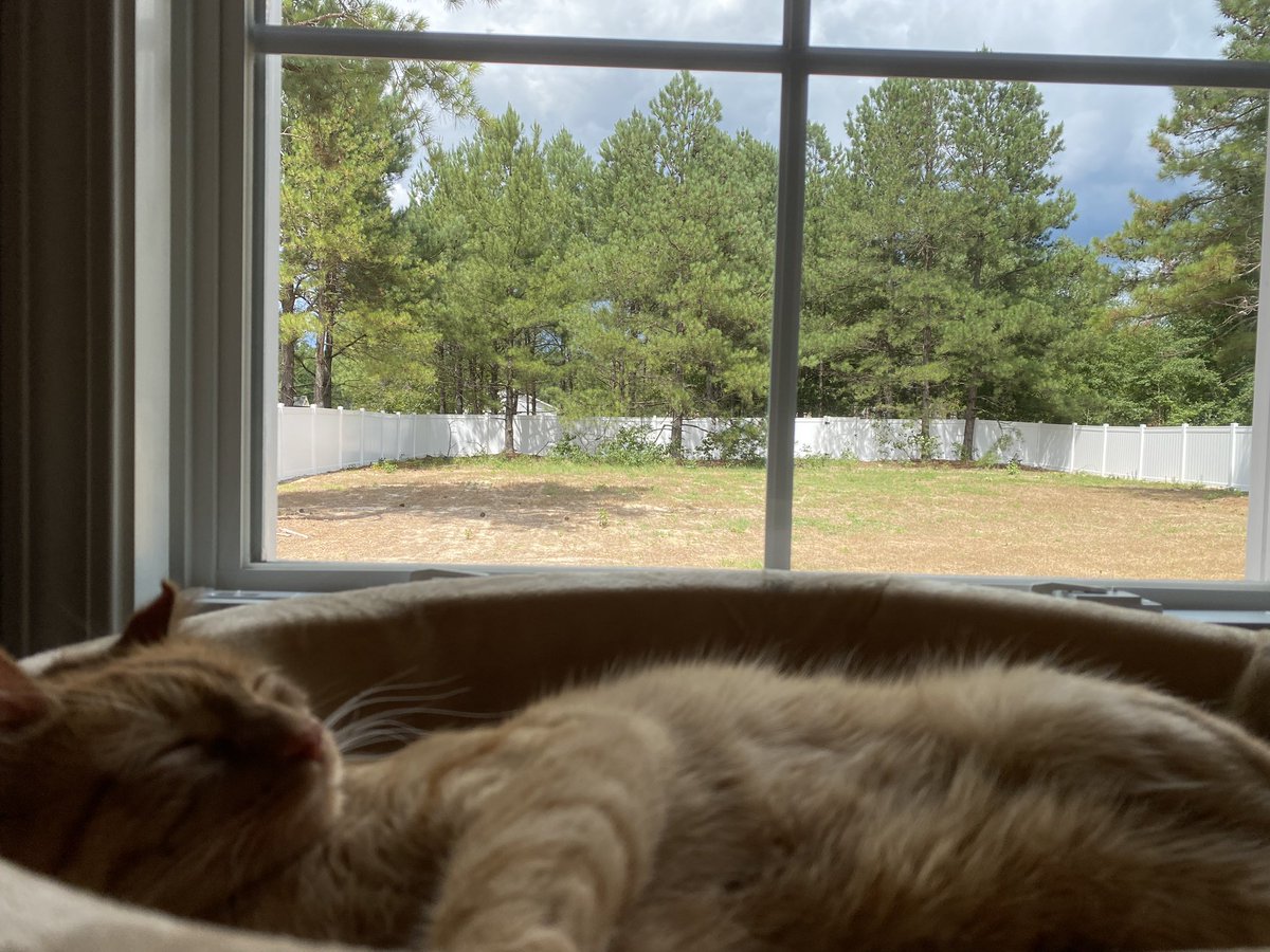 Kristen! tweet media