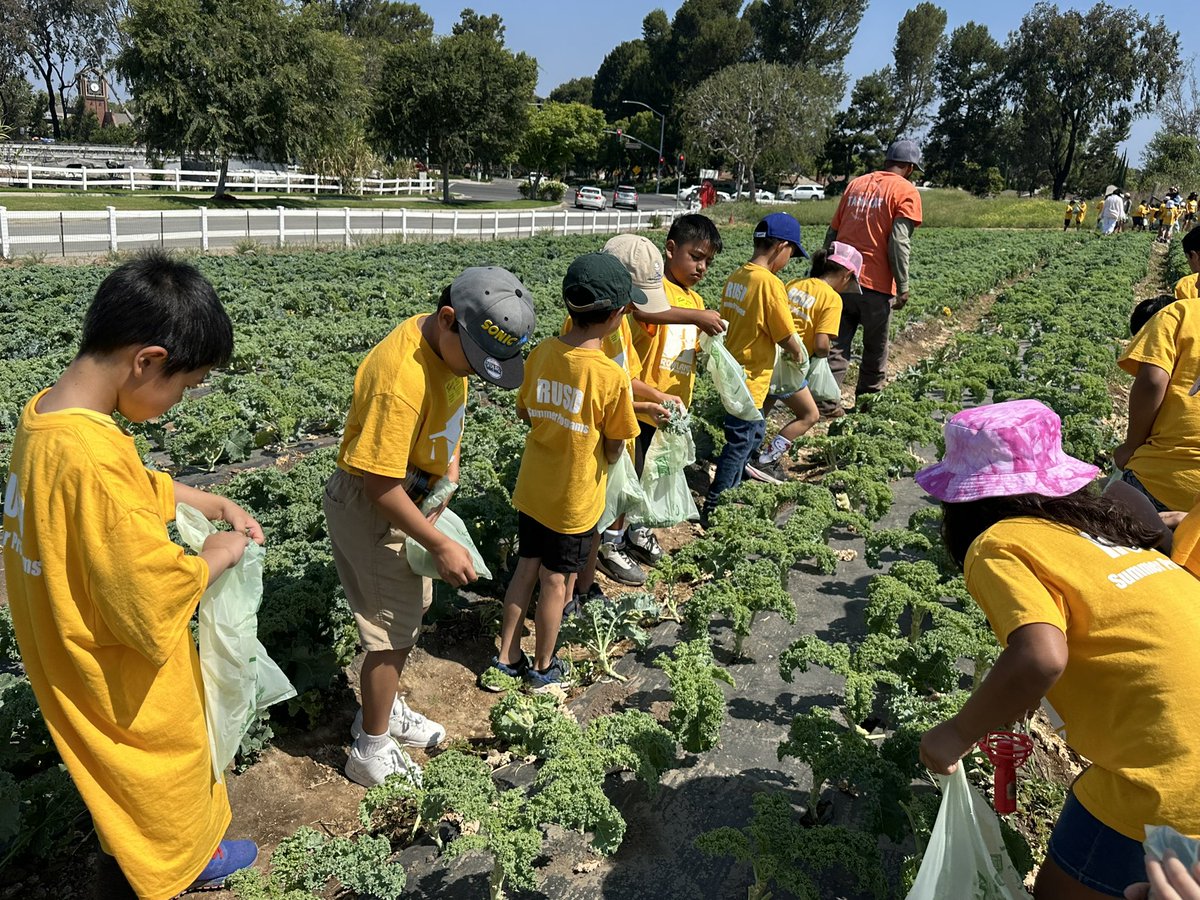 Rorimer’s summer school students got a first hand experience picking kale, turnips and corn. Thank you <a href="/SpecProGATEL/">Silvia</a>  <a href="/RorimerRoyals/">Rorimer Elementary</a> 🐐🌾🚜🐓🩵