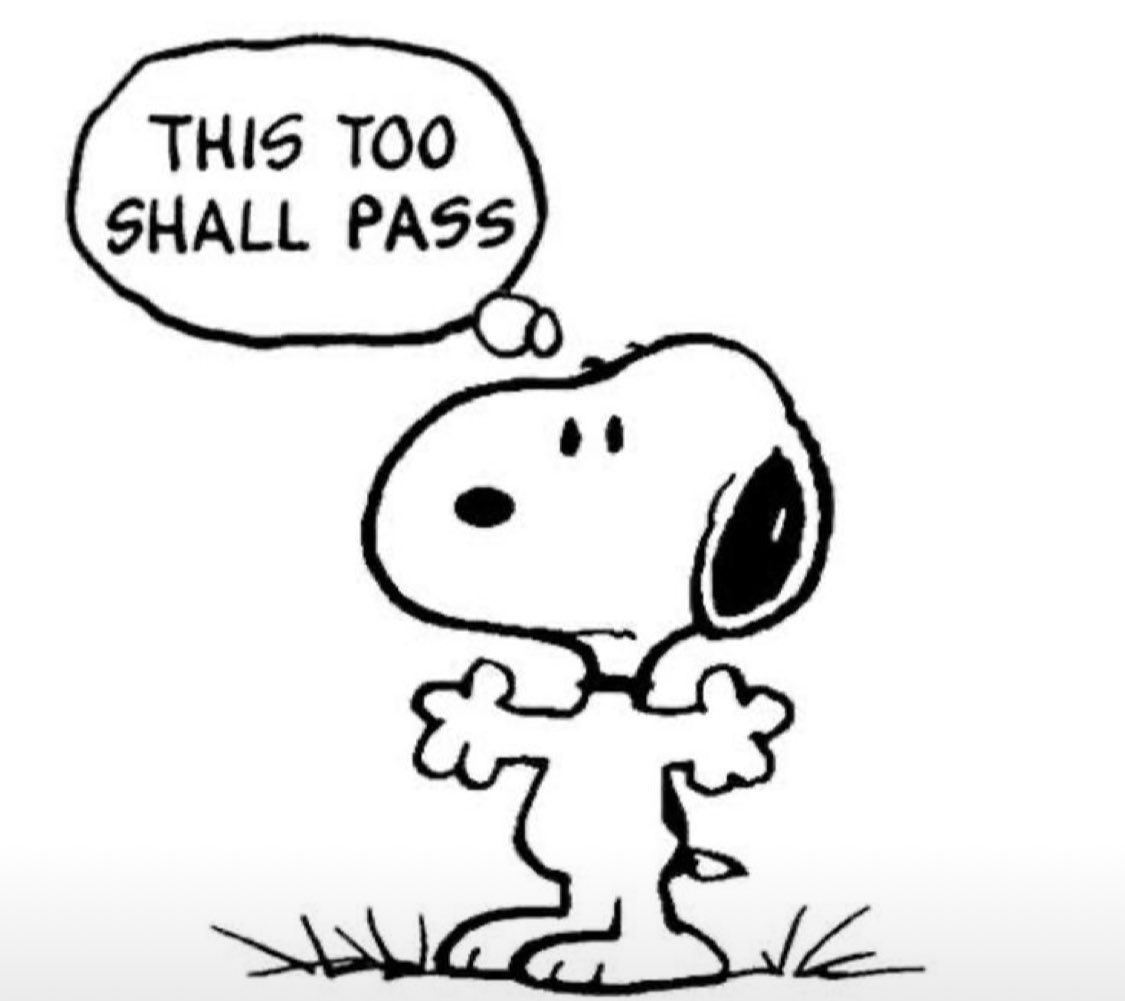 ੯‧̀͡⬮ (@1234beepbooop) on Twitter photo 