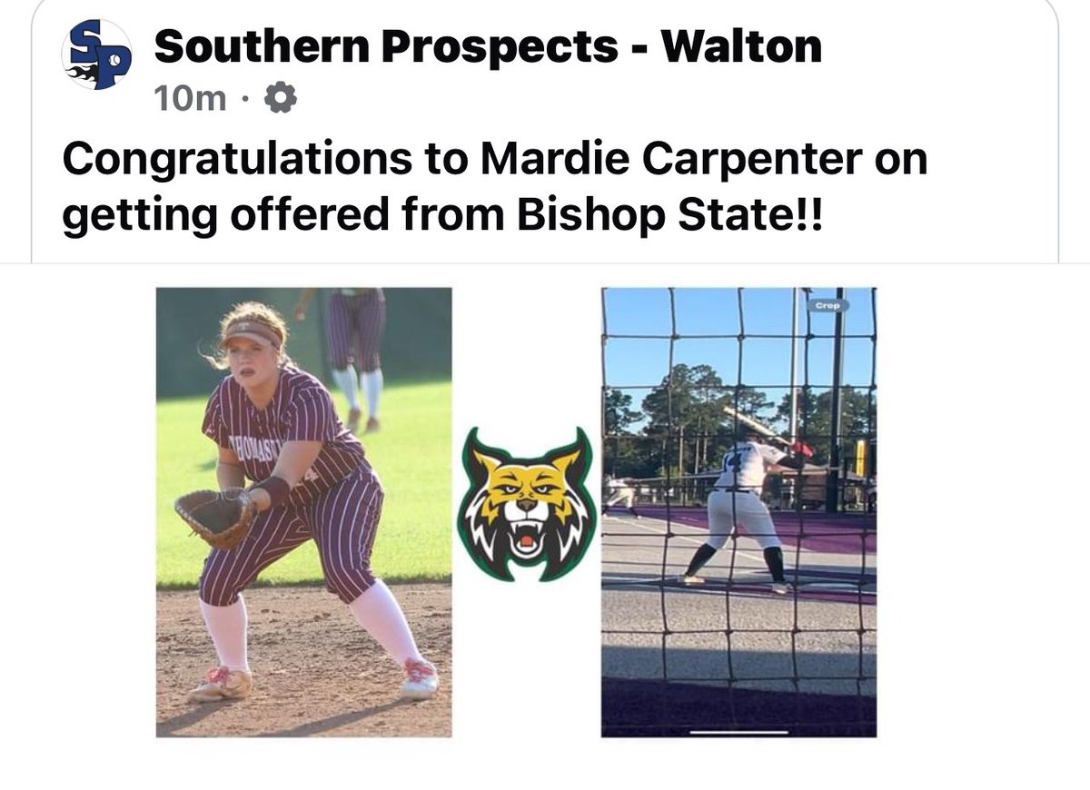 🐅🥎🔥