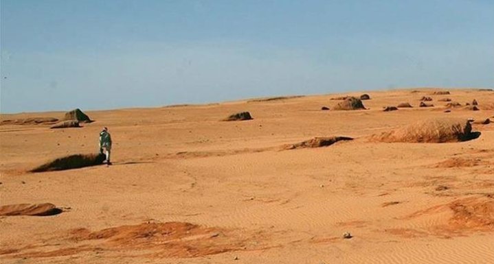 14 people die in Algerian desert near Libyan border
12 #Syrians among victims.