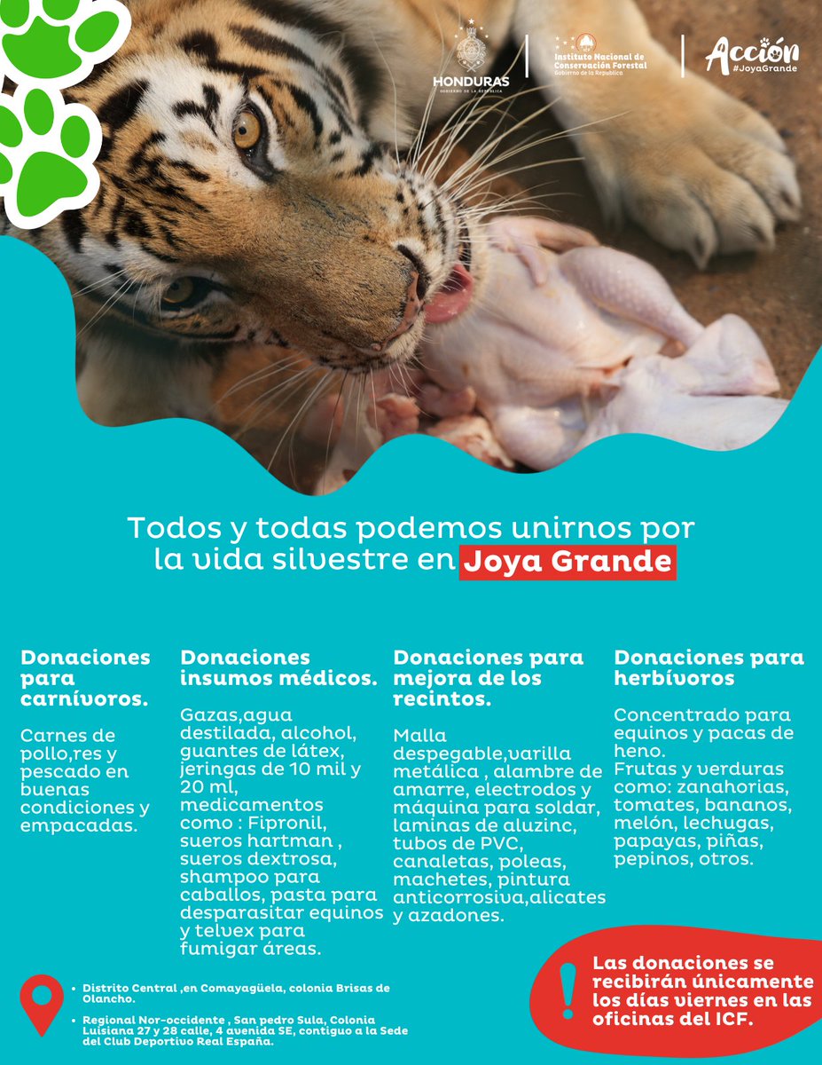 🙌🏻🐾¡Unite a la causa!

📍En Joya Grande, necesitamos tu ayuda para cuidar y proteger nuestra vida silvestre🐾. Puedes colaborar donando alimentos🥩🍇, medicamentos💊💉, y utensilios para mejorar los recintos de nuestros animales. 🐯🐒

🔴Cada pequeño aporte cuenta para hacer un