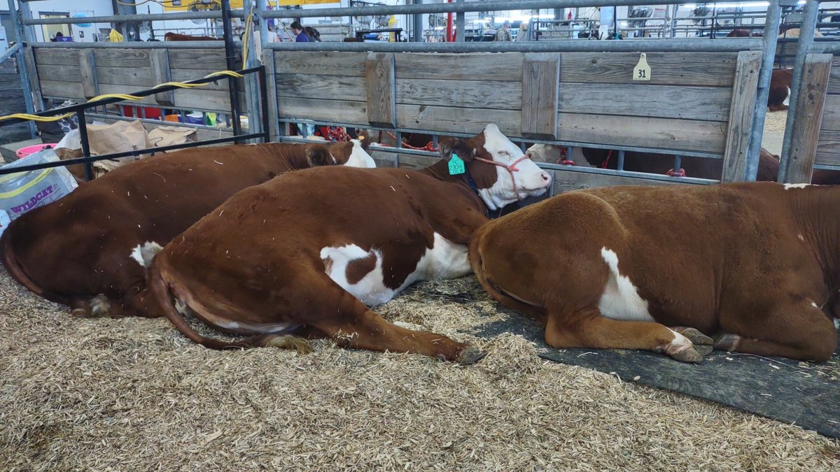 lcranch08's tweet image. Lola has life pretty rough here at #jnhe