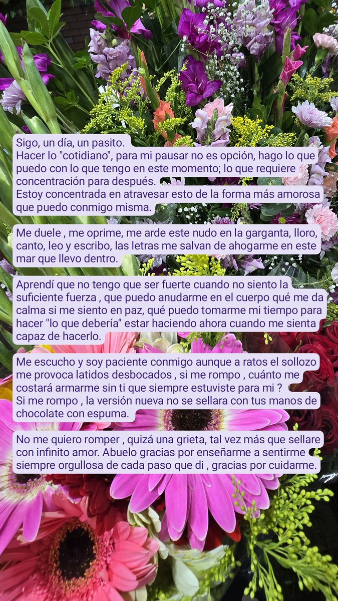 emmsauri's tweet image. Escribi esto hace casi un mes y estoy orgullosa de como día a día voy ...