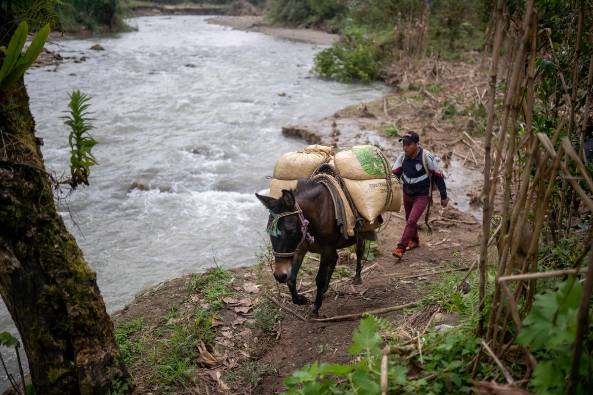 UNBiodiversity's tweet photo. The Global Environment Facility @theGEF approved $70 million to support @FAO projects in 28 countries.  

The FAO initiatives will address urban sustainability, groundwater management, biodiversity loss, climate change and land degradation. https://t.co/huNAAUtk0L