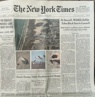 pescami's tweet photo. If you aren't familiar with the grammar of the Times front page layout here it is: The top right story is the lead story, the top left story is the sub-lead everything else above the fold is the important news of the day. Today the New York Times says the second most important story is mounting pressure from senior congressional Dems to push Biden out of the race. The 3rd most important story is a shocking French election results upending all expectations. The MOST important story is Elon Musk's successful space launch destroying nine bird nests.