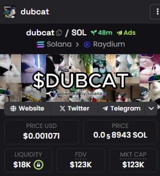 DubCatOnSol tweet media