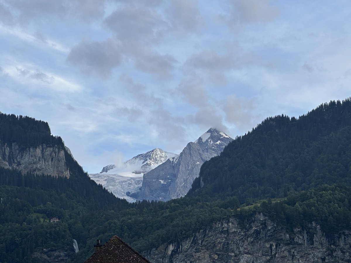 Ilona Kickbusch tweet media