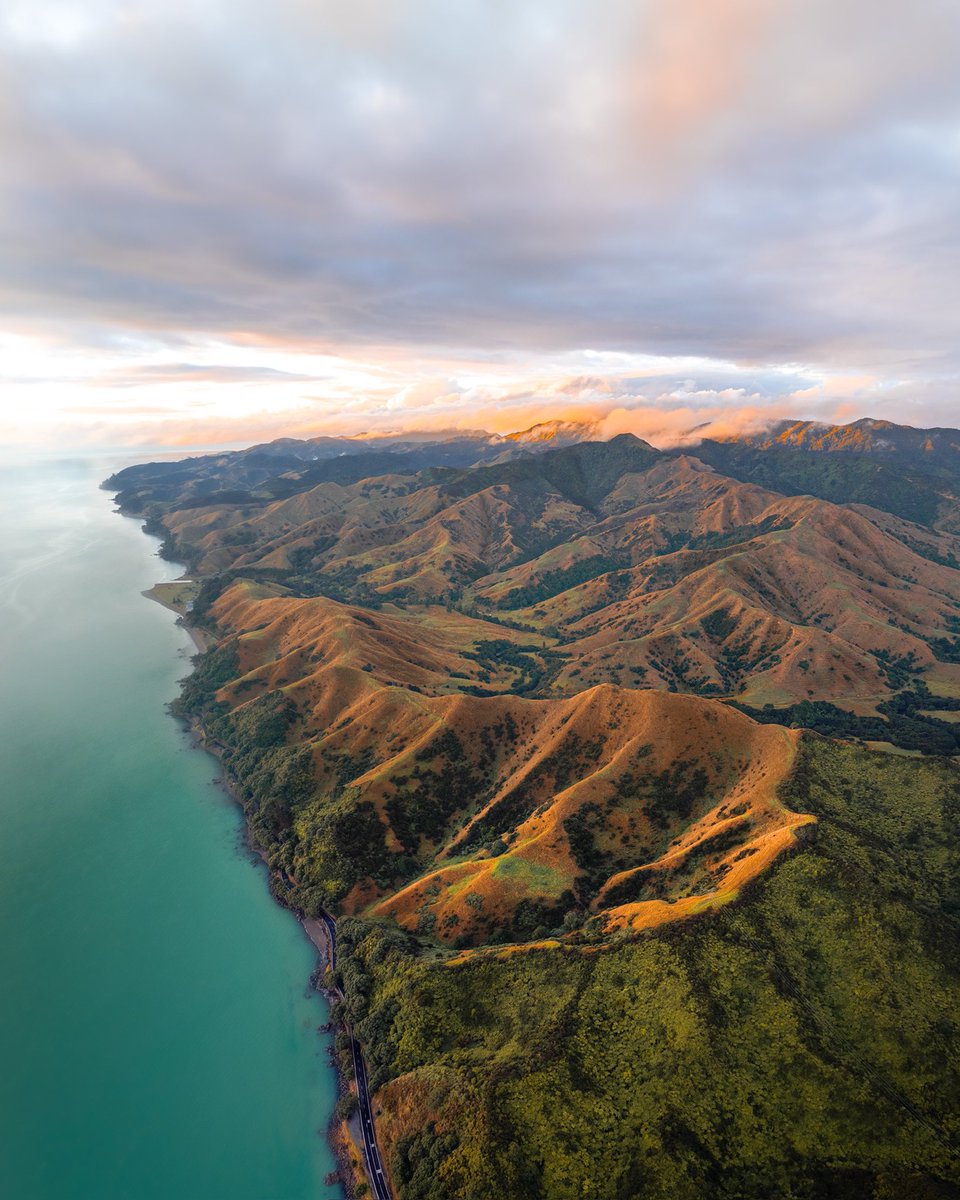 VictorEzteves's tweet photo. Photos I took in New Zealand 🇳🇿 https://t.co/12asjK49VS