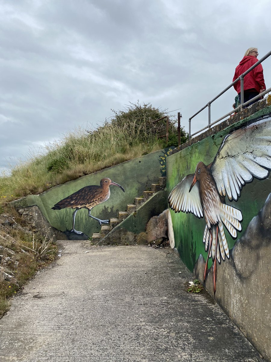 Stewart J Clarke tweet media