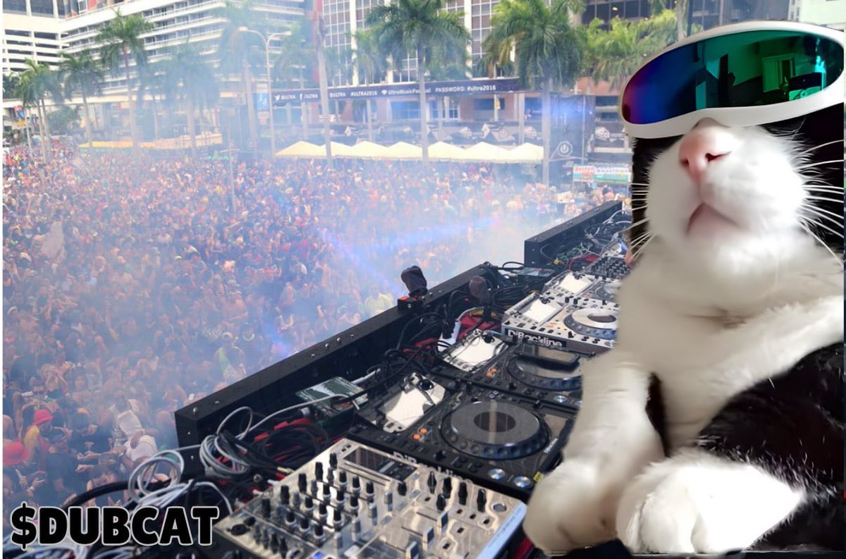 DubCatOnSol tweet media