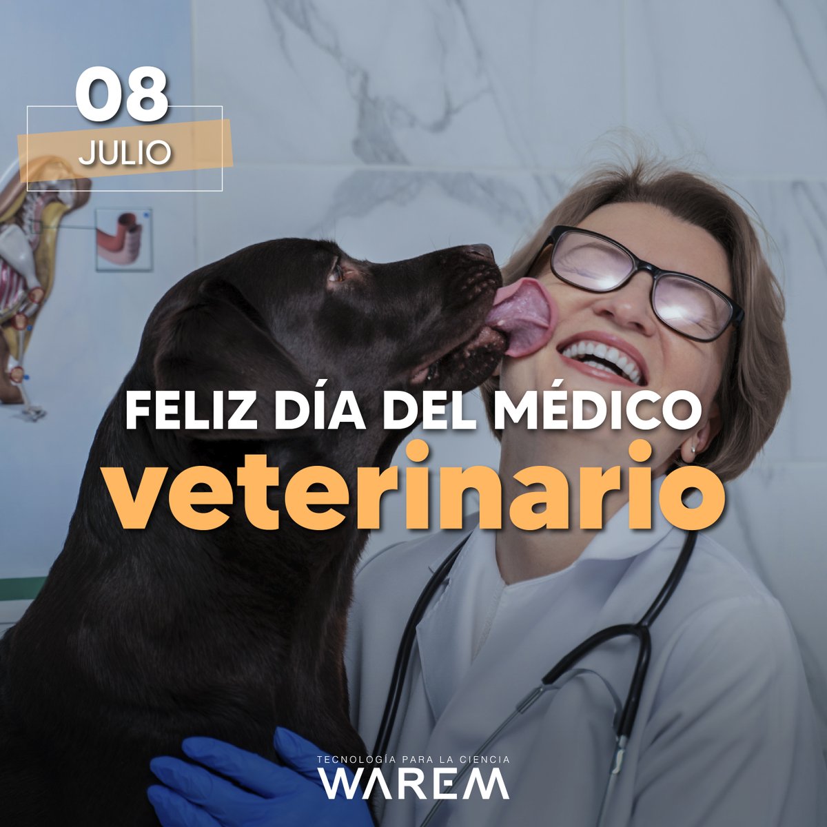 @Warem.pe tweet media