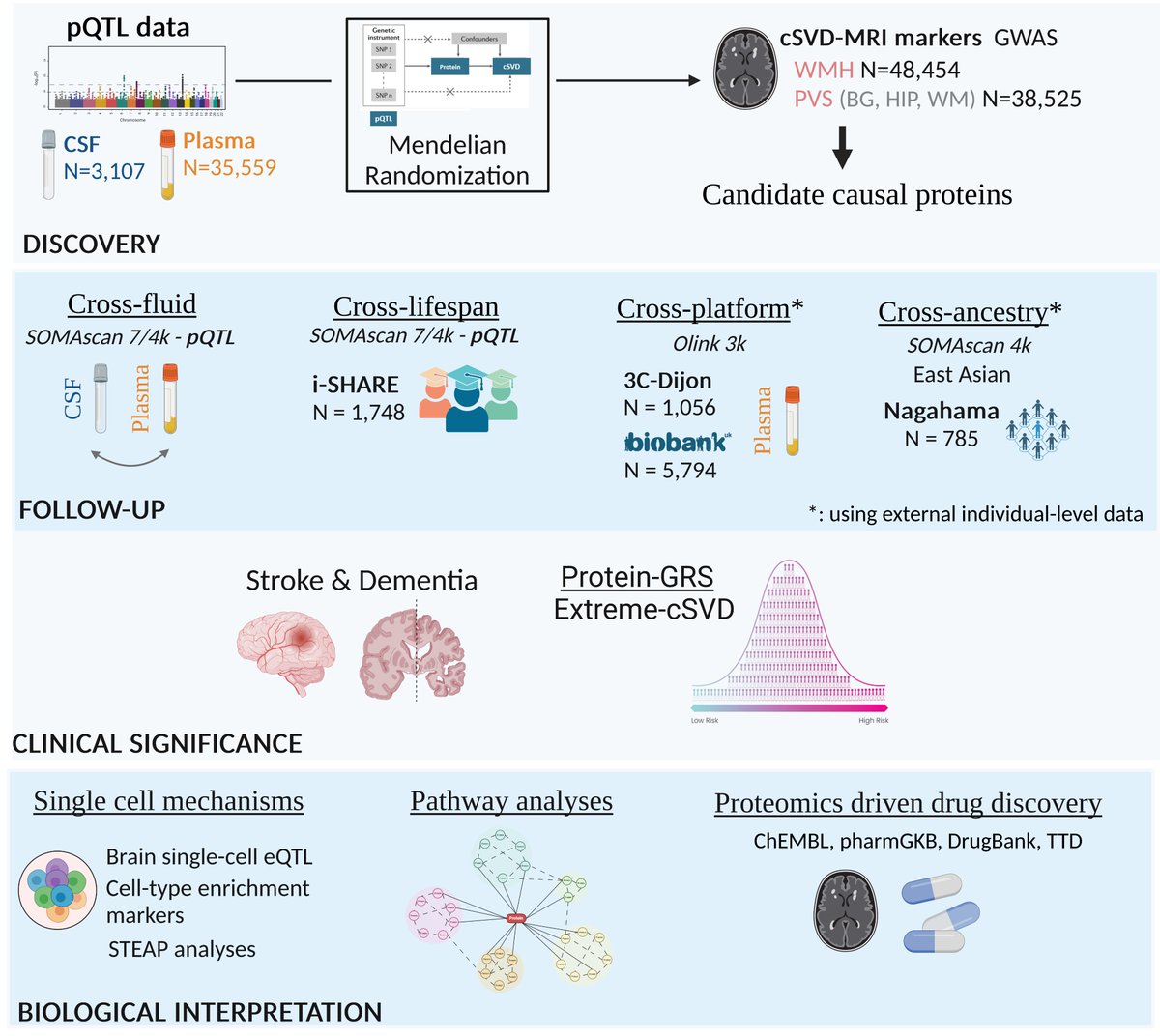 Excited to share our latest preprint! We identified a novel proteogenomic signature of cerebral small vessel disease in CSF and plasma using extensive proteomic data in Europeans and East-Asians, highlighting  immune pathways and microglia, with drug repositioning opportunities.