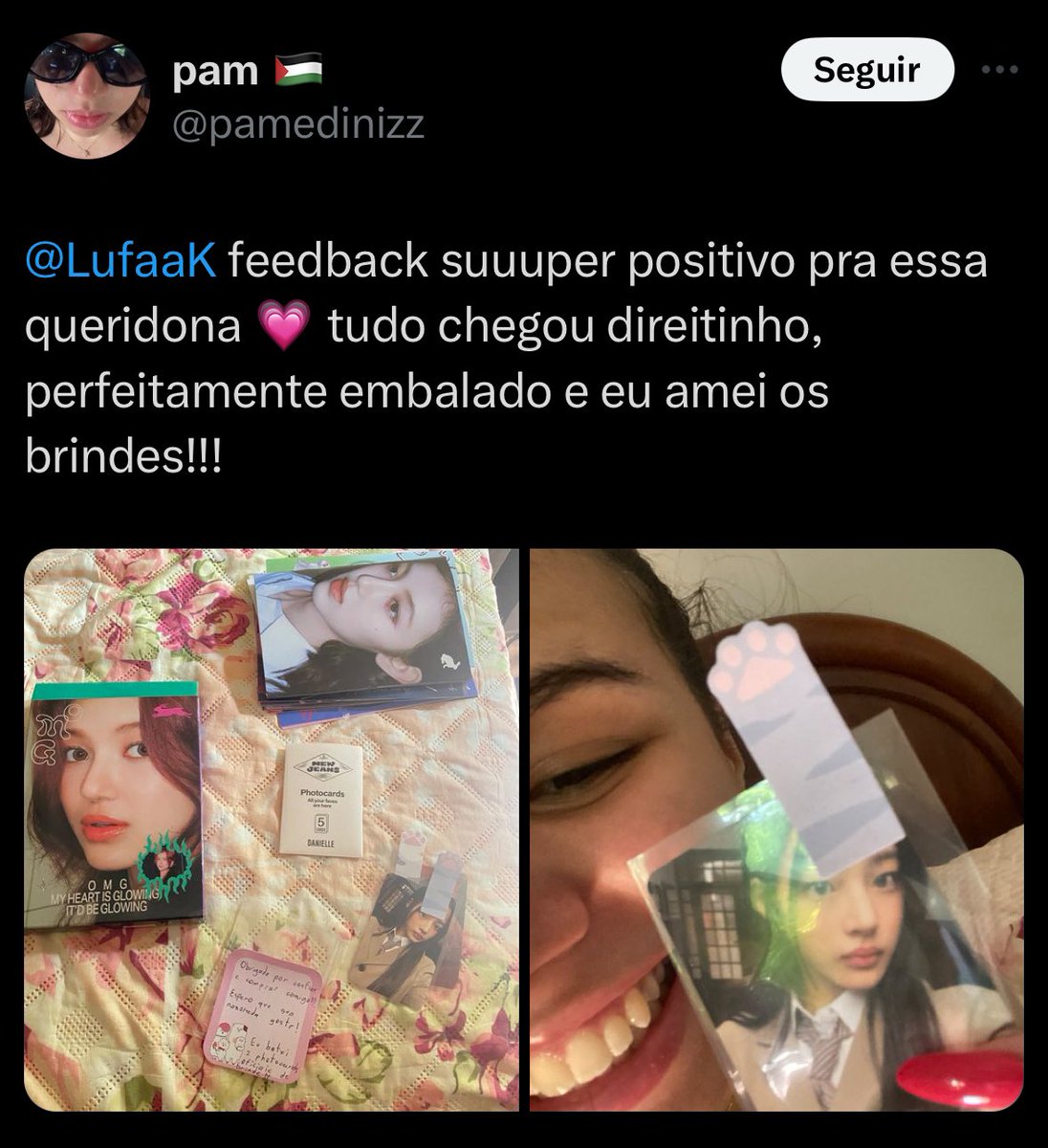 lufinha tweet media