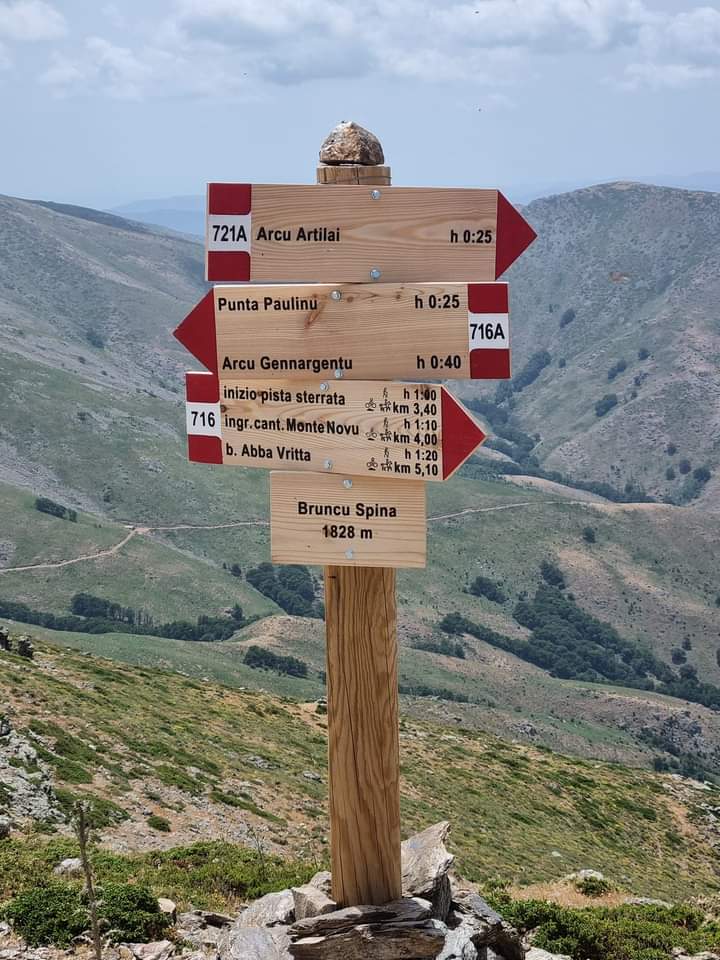 SardegnSentieri's tweet photo. Finalmente i #sentieri sentieri del #Gennargentu si popolano di niovi cartelli, dopo un grande lavoro sul campo del personale diAgenzia Regionale #Forestas con i fondi #POR #FESR . Li avete già potuti apprezzare?

@CAI150
#RES https://t.co/2R6sR2u7vA
