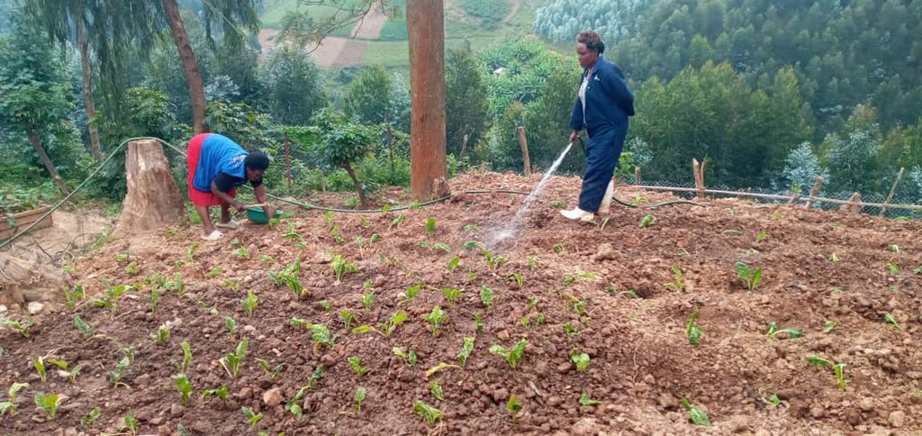 AlightRwanda's tweet photo. In the heart of refugee communities, our kitchen gardens are blooming hope and healing. Join us in sowing seeds of change.
#NutrionFirst
#HopeInAction
#ChildrensHealth
#UNFPARwanda
#Minema https://t.co/yOsm3LsrqW