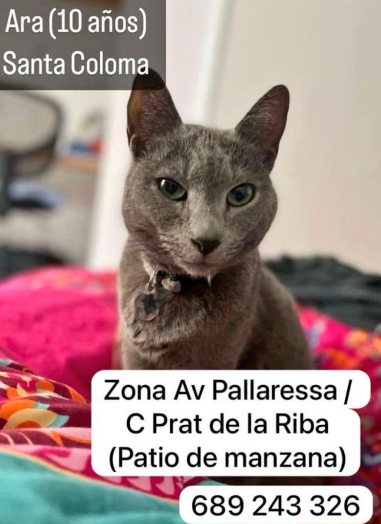 Erta2017's tweet photo. #XarxaBarcelonaPerduts 
#Barcelona #StaColoma
@pont_roma

🆘PERDIDA EN Sta.COLOMA,🆘 https://t.co/3eXsMzeOEp
