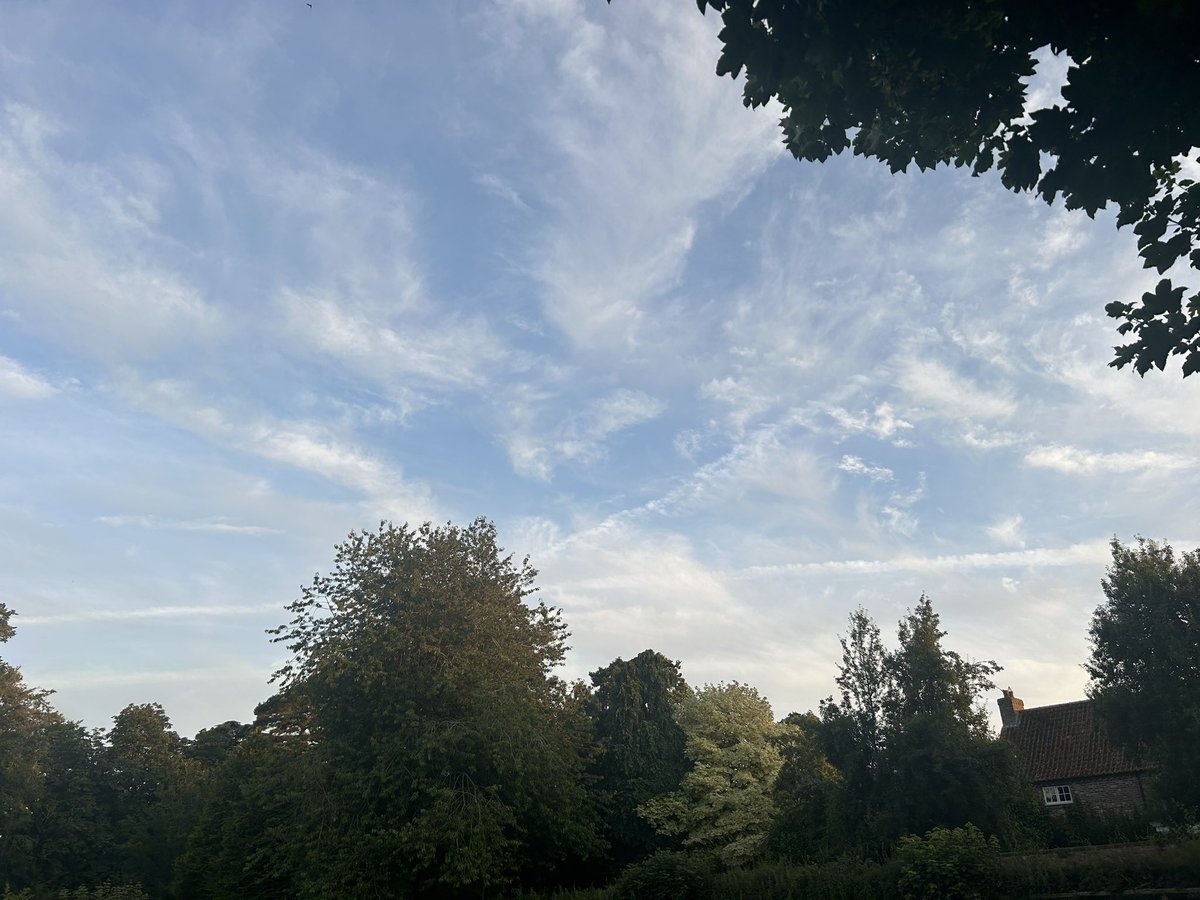 chatswithem's tweet photo. Had to pop out for 5
Interesting skies
#stopthespray
#stopthegeoengineering
#silverskies
Solar radiation management
And tomorrow there'll be rain
1 https://t.co/UasvoBpLlB