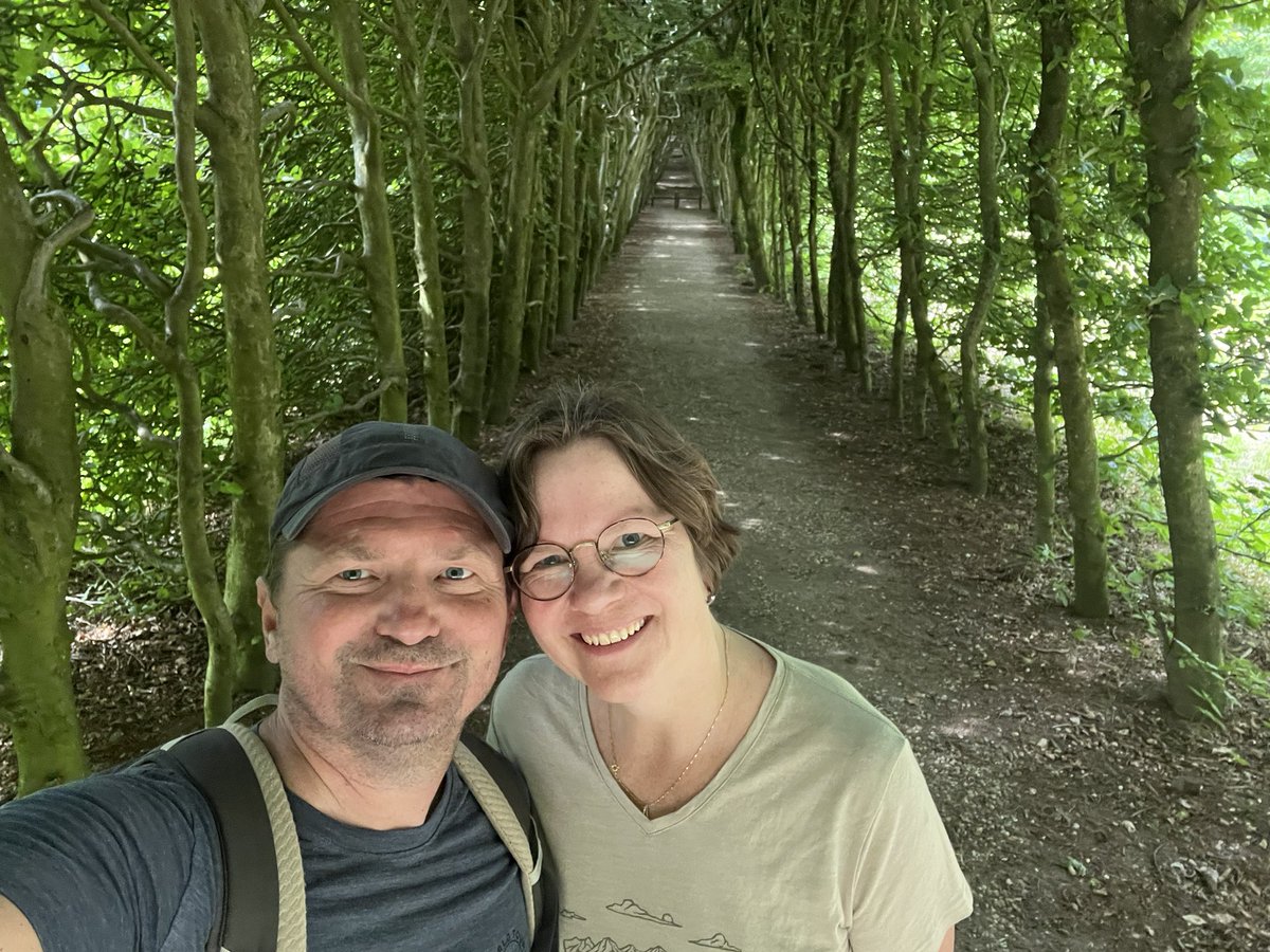 Hermen Vreugdenhil tweet media