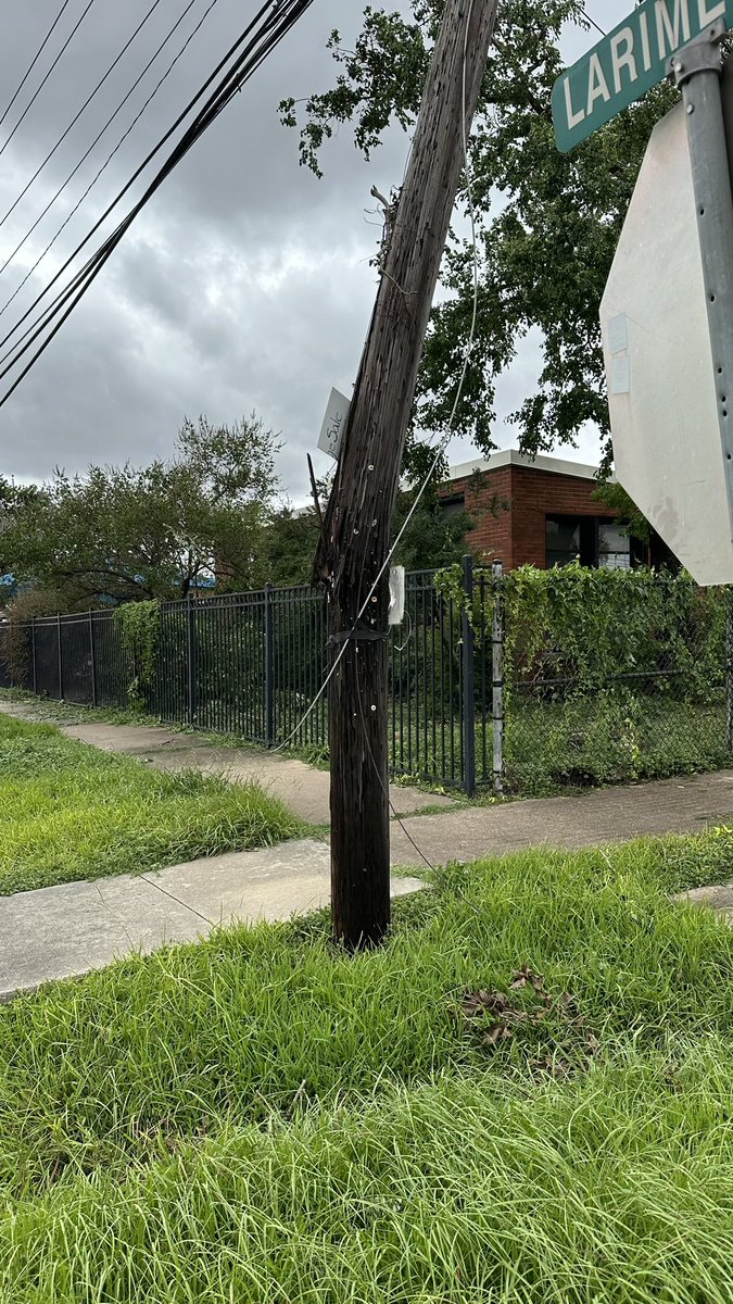 TW 🦋🦋🦋🦋🦋 tweet media