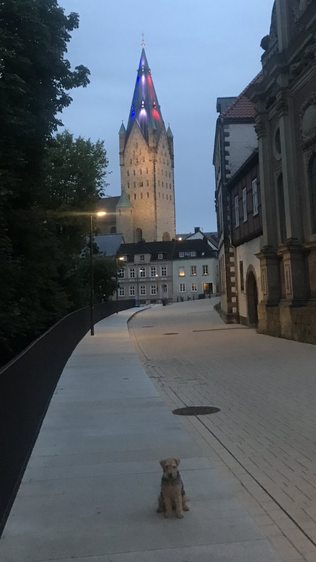 Now it’s official: Lotte will support the French equipe tomorrow evening, as the Team lives in our small town and the beautiful cathedral tower already displays the tricolor 🇫🇷⚽️🥅