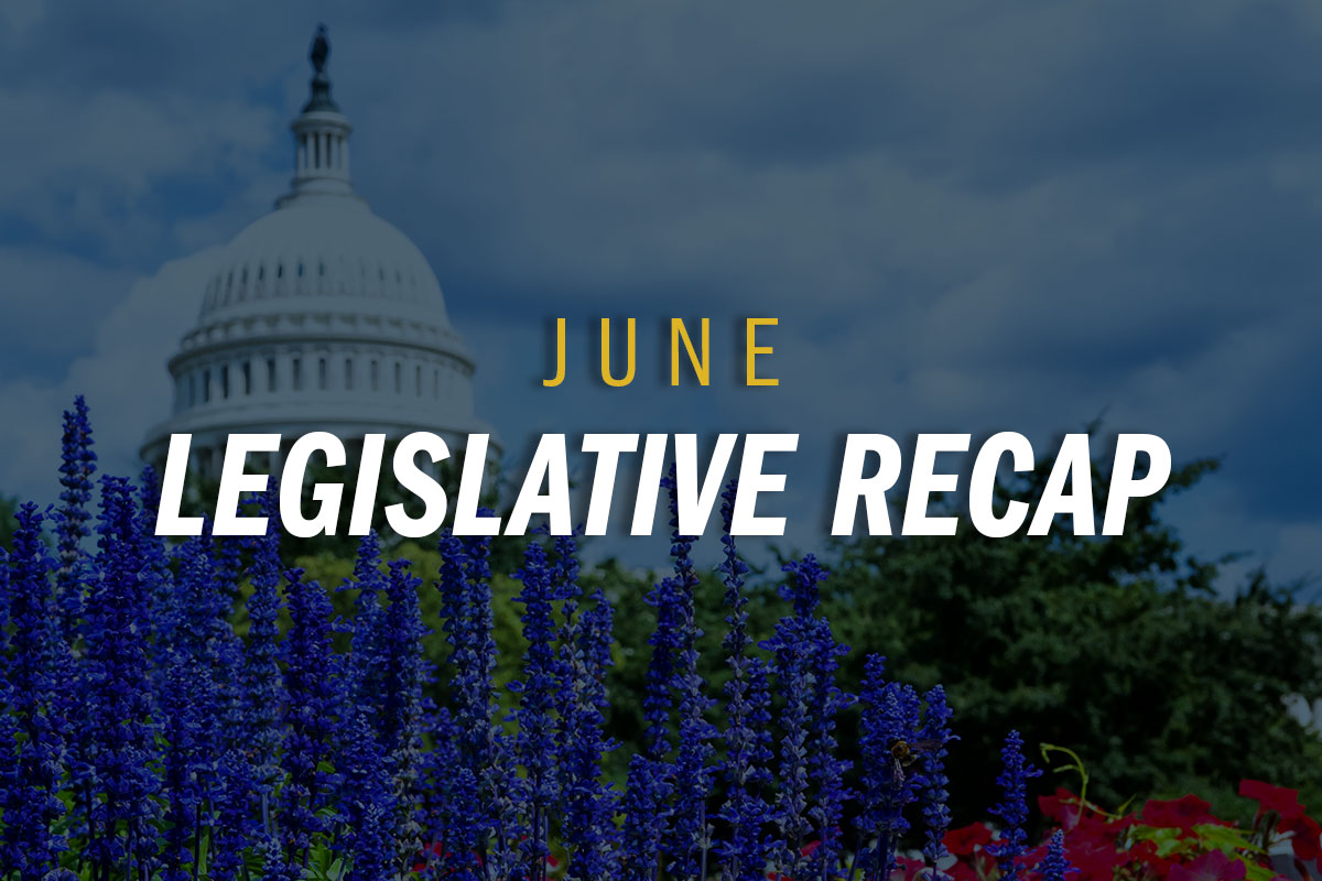 BeerExplored's tweet image. June 2024 Federal Legislative Recap dlvr.it/T9KsTK