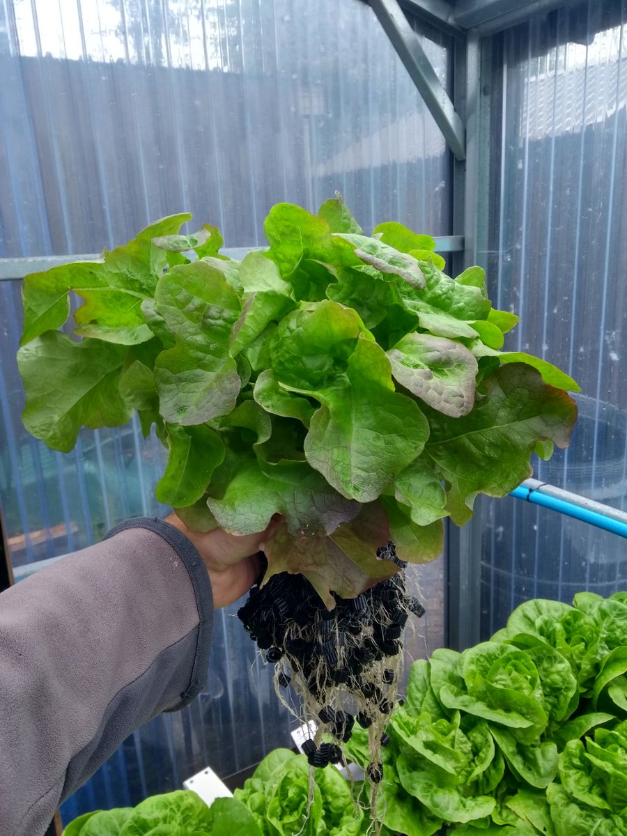 Keywater Fisheries tweet media