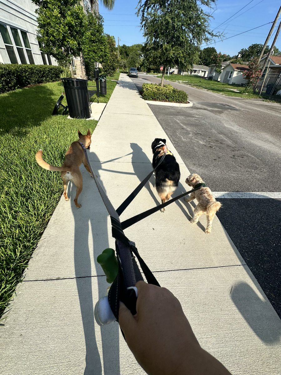 Brandie McCallum tweet media