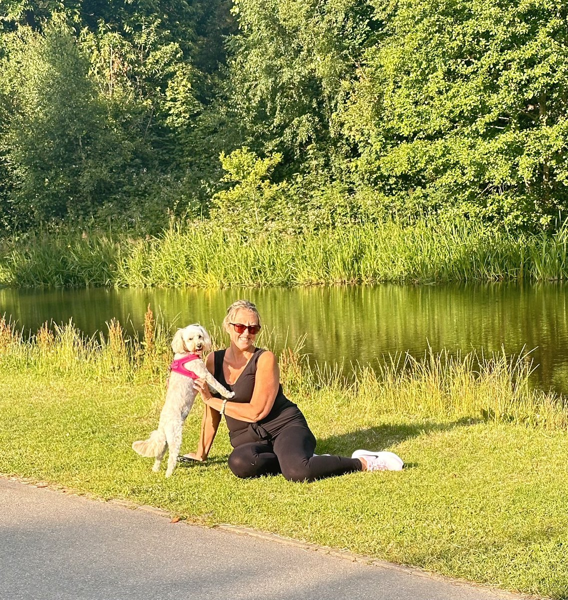 49_lyn's tweet photo. Nice walk round temple newsam with my old pal https://t.co/H4CSuCcvm3