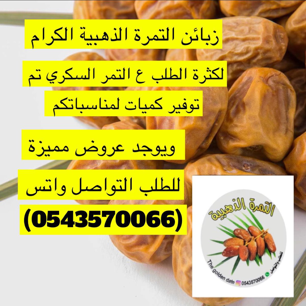 فاطمه المظفر tweet media