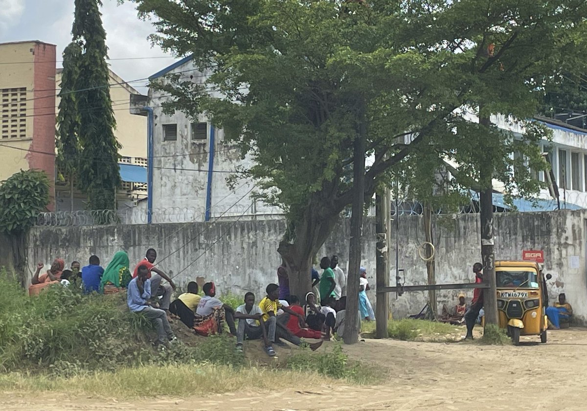 kunley_drukpa's tweet photo. Mass Tree Milling Around spotted in Kenya. Thought there are a lot of people milling they must be waiting for a bus - no, turns out they had all come to sit under the tree because it was hot. Under the tree in the hot African sun has been a traditional place to mill for millennia https://t.co/xOI4RPpS11