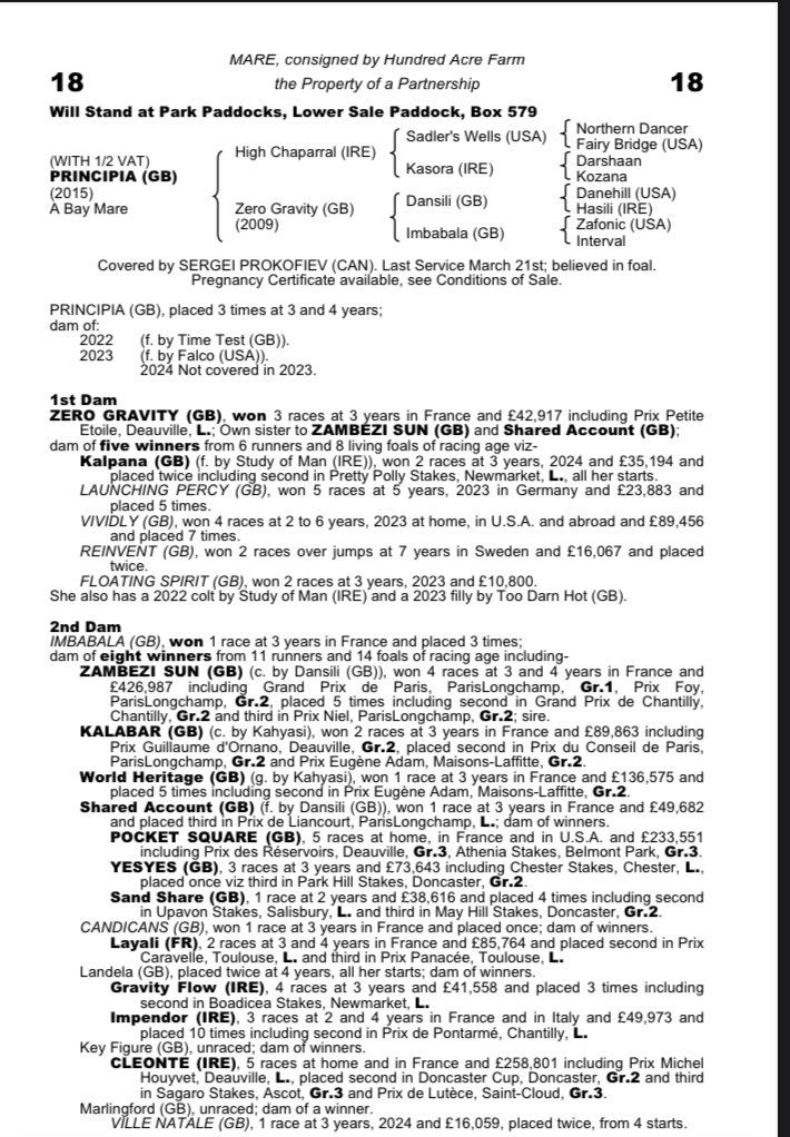 Elusive Bloodstock tweet media