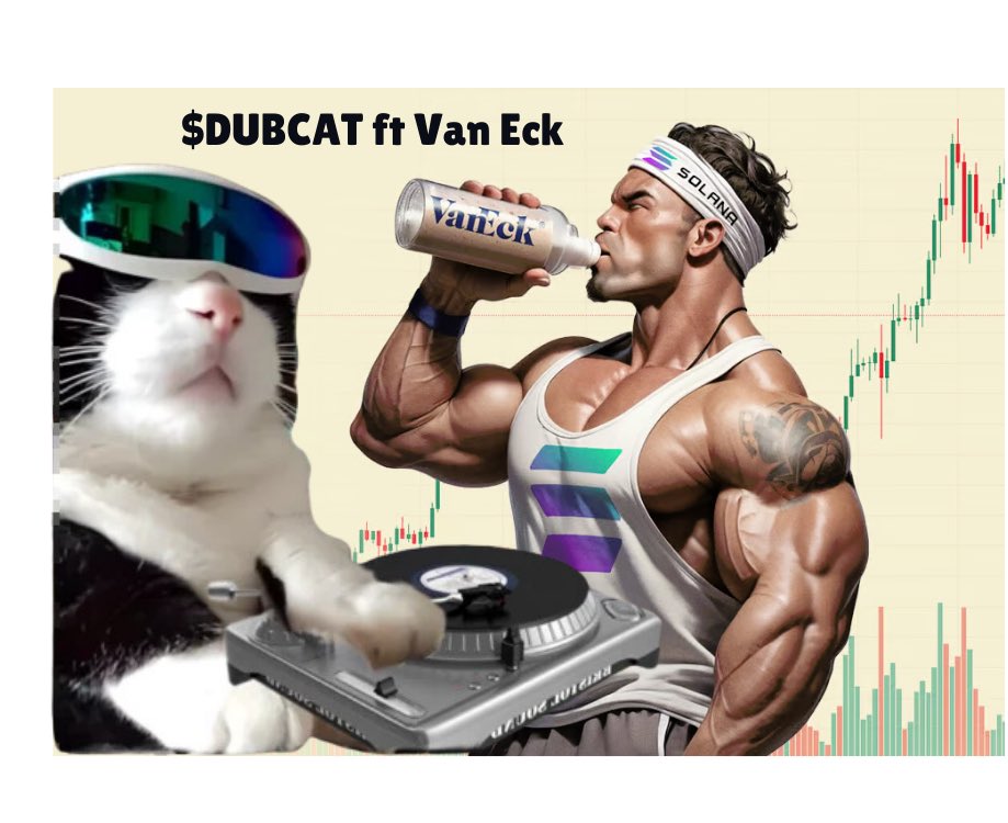 DubCatOnSol tweet media