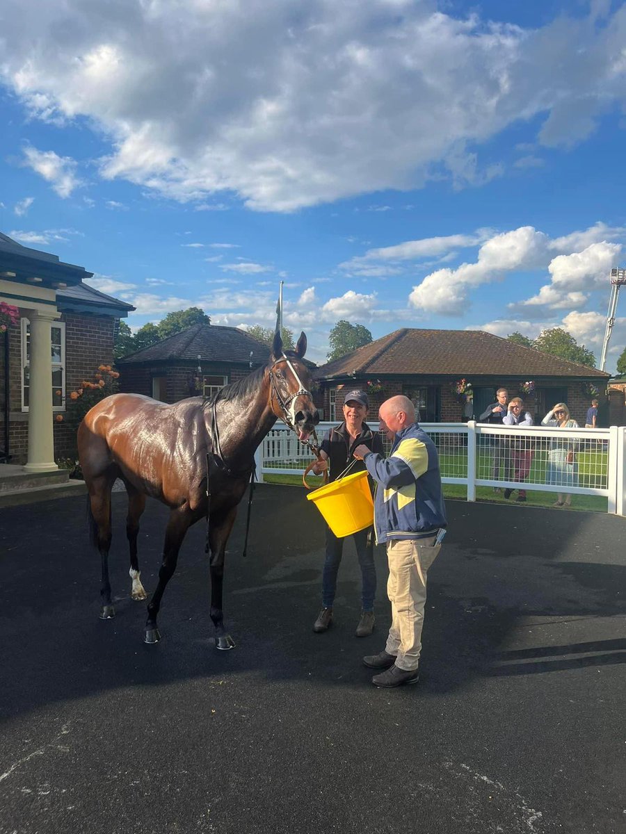 First win for TRAMELL at <a href="/RiponRaces/">Ripon Races</a> 
<a href="/shadowfax500/">Conrad Allen</a> 
🏆🐎