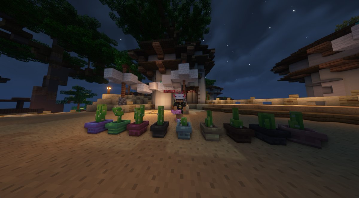 TanoMCdev's tweet image. 🌵