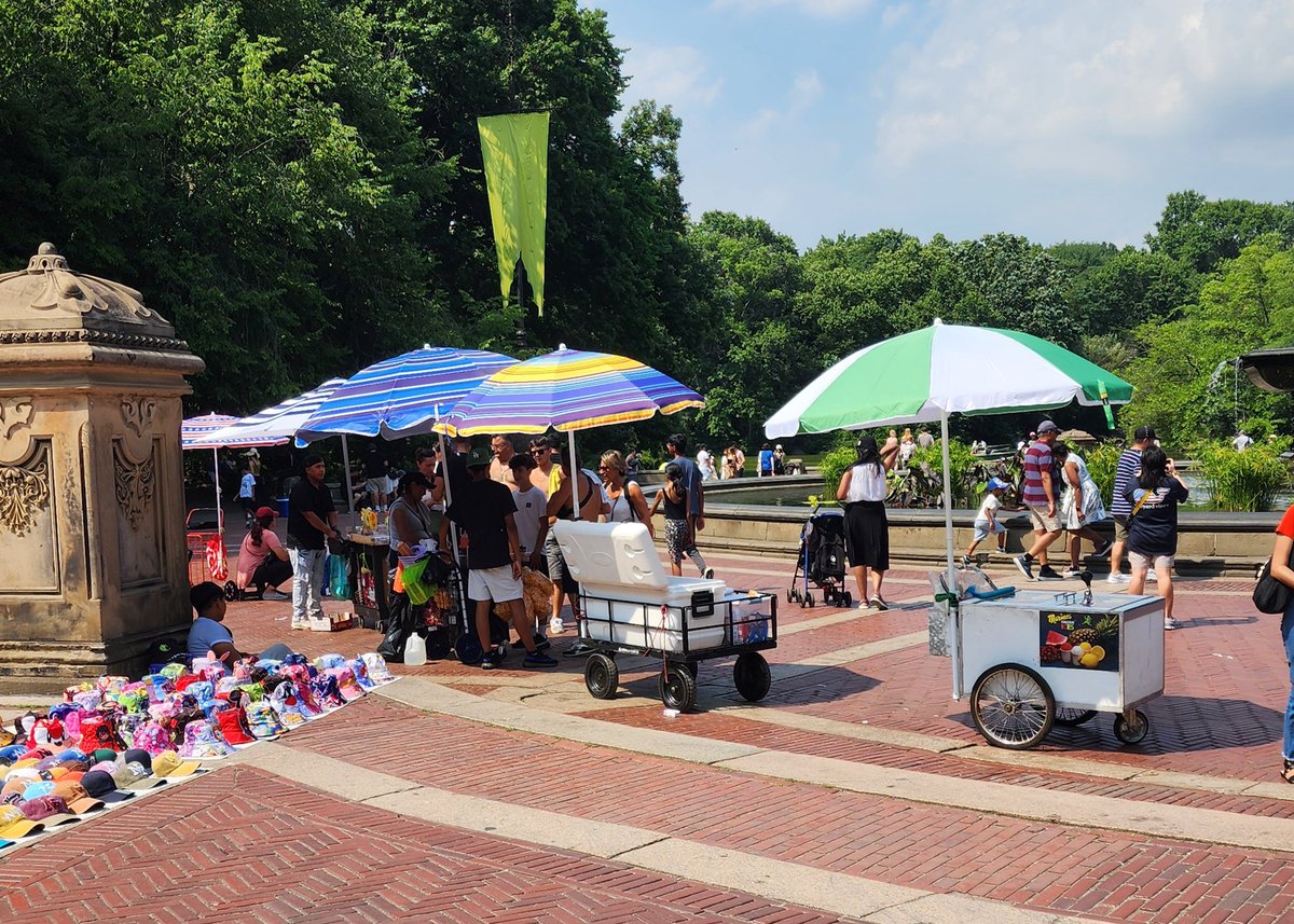 AFineBlogger's tweet photo. Illegal vendors are now running rampant in @CentralParkNYC @NYCParks . https://t.co/wZOS6eVoNT