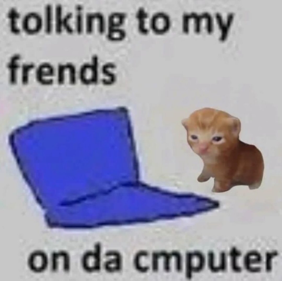 Catsillyness's tweet photo. tolking to friends https://t.co/5VMQqcwING