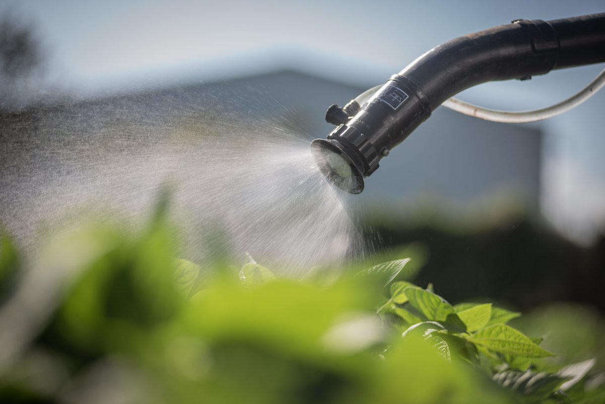 echo_mxo's tweet photo. ¡Descubre la potencia sin límites con la pulverizadora MB-580 de ECHO! 💥 Diseñada para los más exigentes,  ¡Haz de cada trabajo de agricultura una experiencia rápida y efectiva con la MB-580! 💣💯

#laelecciondelosprofesionales #pulverizadora #potencia #echomexico https://t.co/C6weOpeCGN