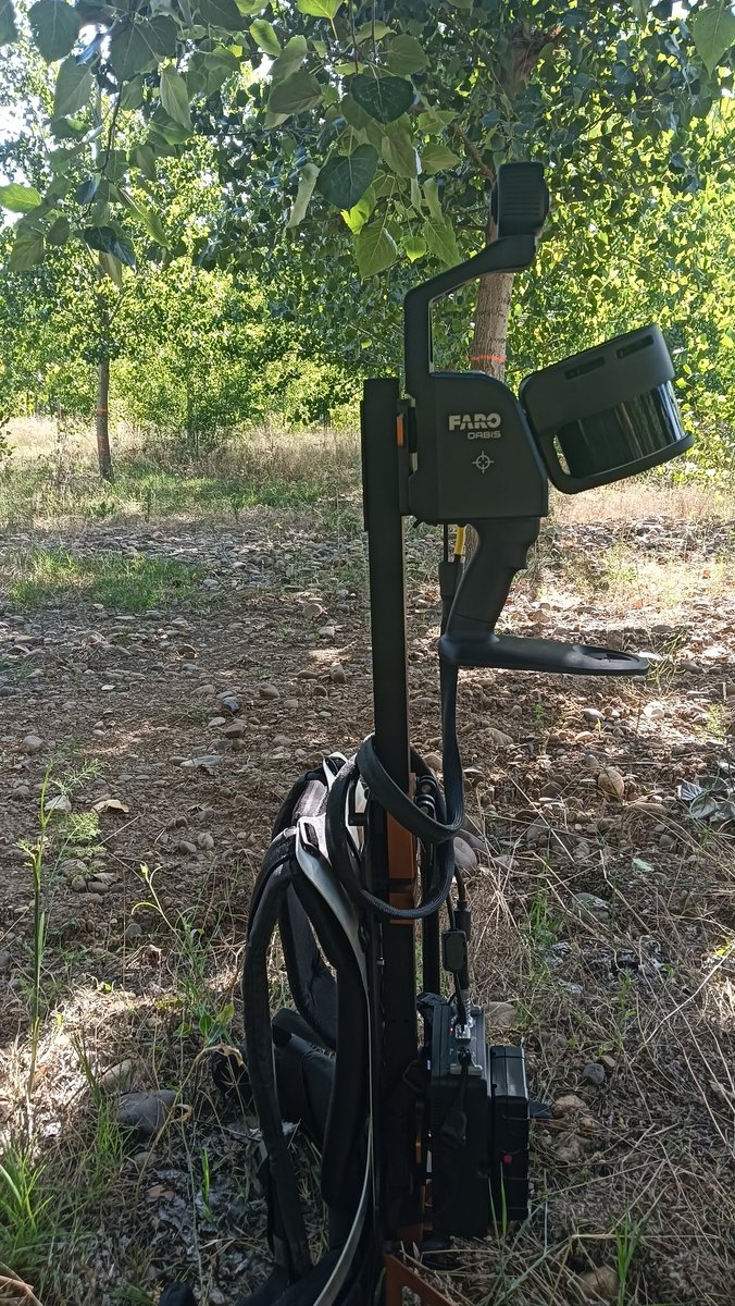 Flor Alvarez Taboada tweet media