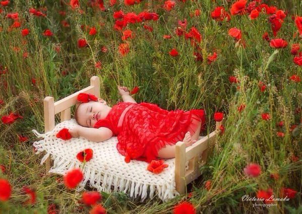 ViktorXvv's tweet image. &quot;Хватит! Сколько можно ждать?!
Сон побрёл в свою кровать.
Он ужасно утомился!
Лёг, и сам себе приснился! &quot;⚘🥰💖

#ДобройНочи!!!⚘🥰💖
#СладкихСнов!!!⚘🥰💖